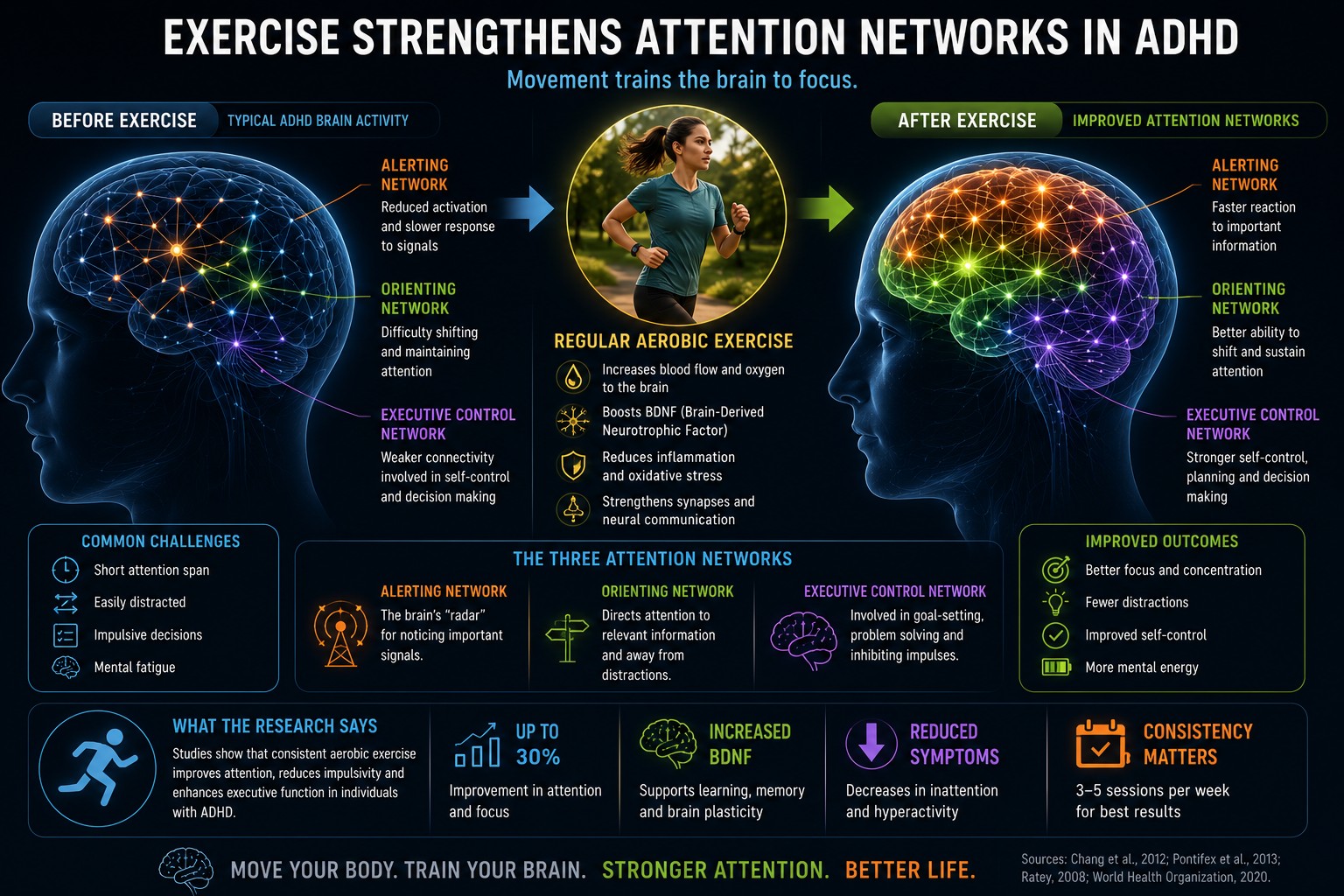Improved attention networks in the brain following exercise in individuals with ADHD — alerting, orienting and executive control networks.