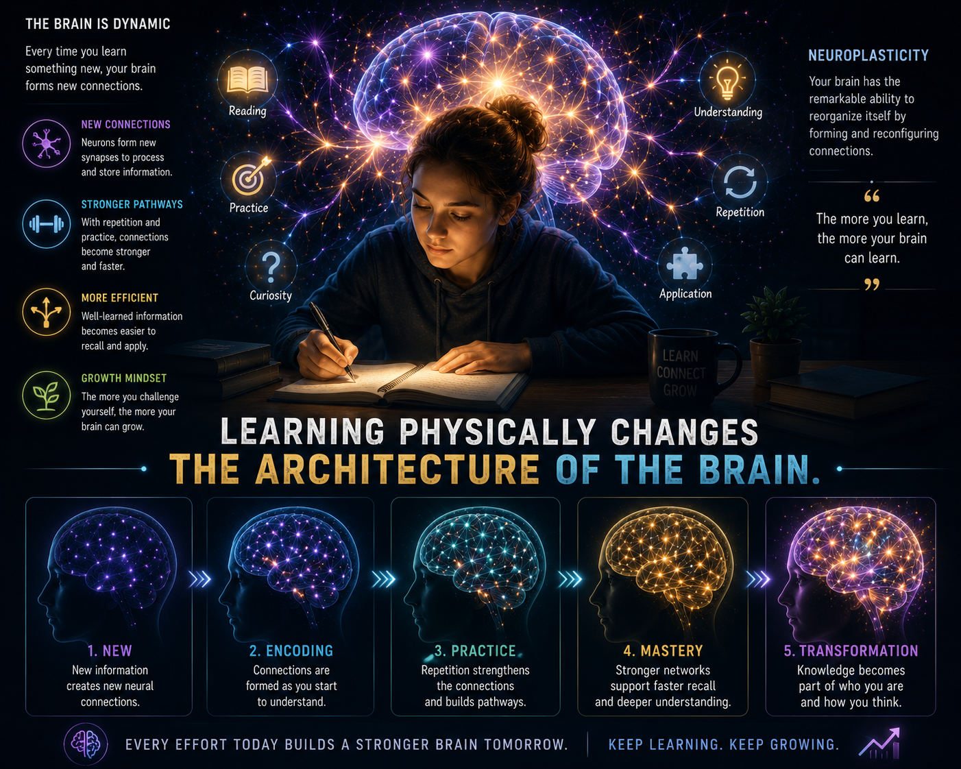 Learning physically changes the architecture of the brain — neural pathways strengthening and expanding.
