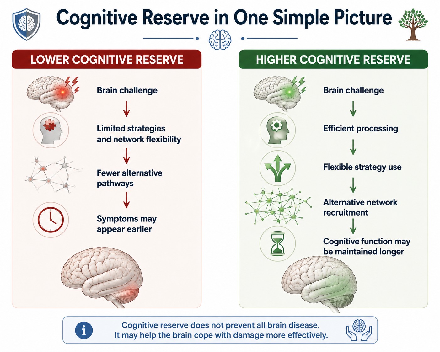 Cognitive Reserve in One Simple Picture — how lower and higher reserve brains respond differently to the same neurological challenge.