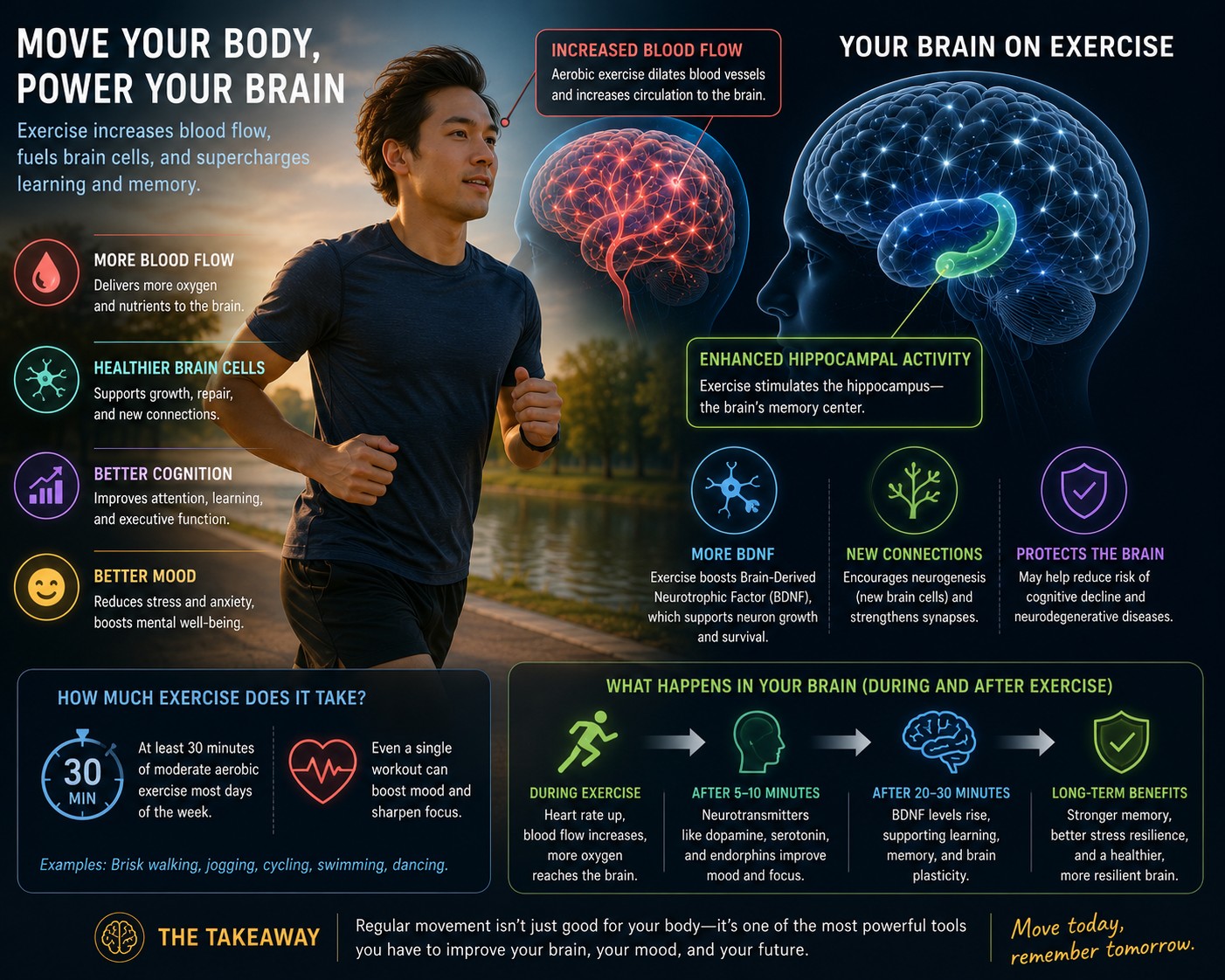Move your body, power your brain — exercise increases blood flow, supports BDNF, and supercharges learning and memory.