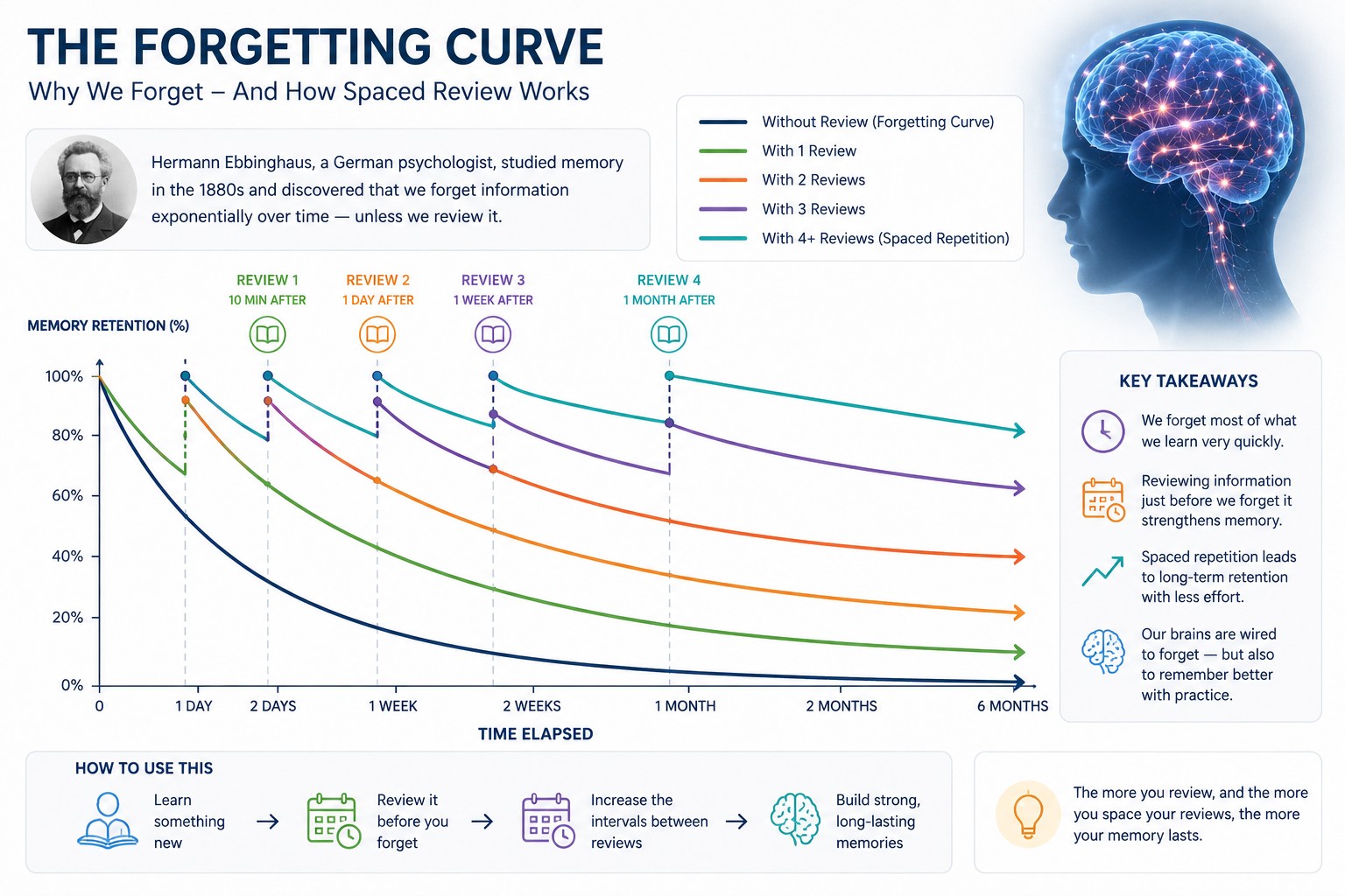 The Forgetting Curve — one line shows rapid forgetting without review while subsequent lines show progressively flatter curves after each spaced review.