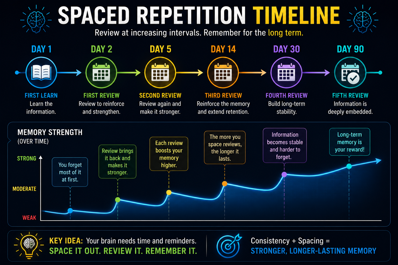 Spaced Repetition Timeline — Day 1, Day 2, Day 5, Day 14, Day 30, Day 90.