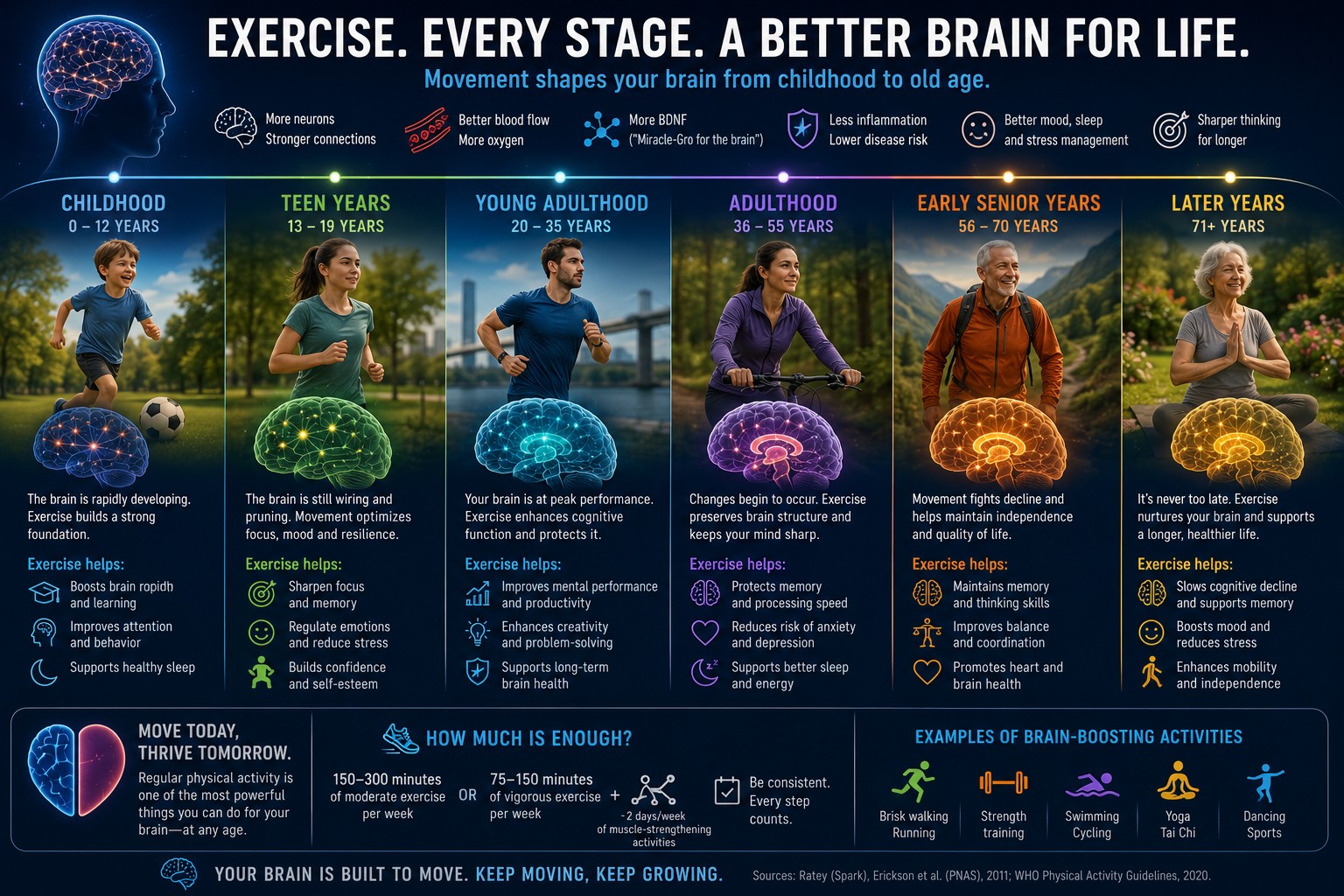 Timeline from childhood to old age showing brain development and the positive effects of exercise throughout life — every stage, a better brain for life.
