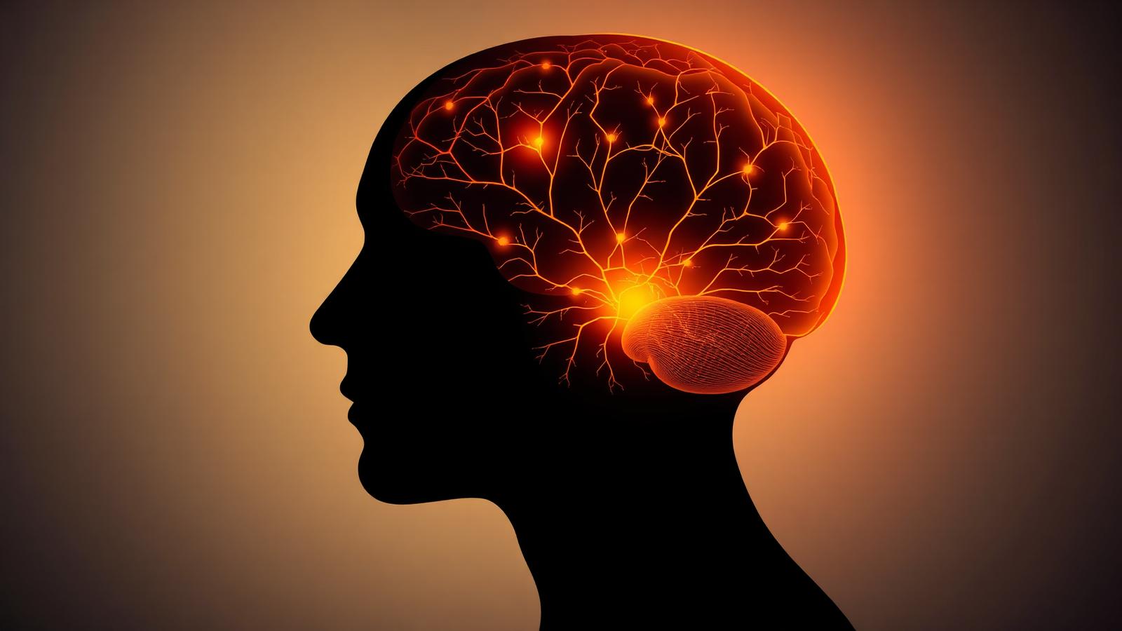 A silhouette with a warm-lit brain showing serotonin pathways branching from the brainstem across the cortex — the chemistry of regulation, stability and behavioral flexibility.