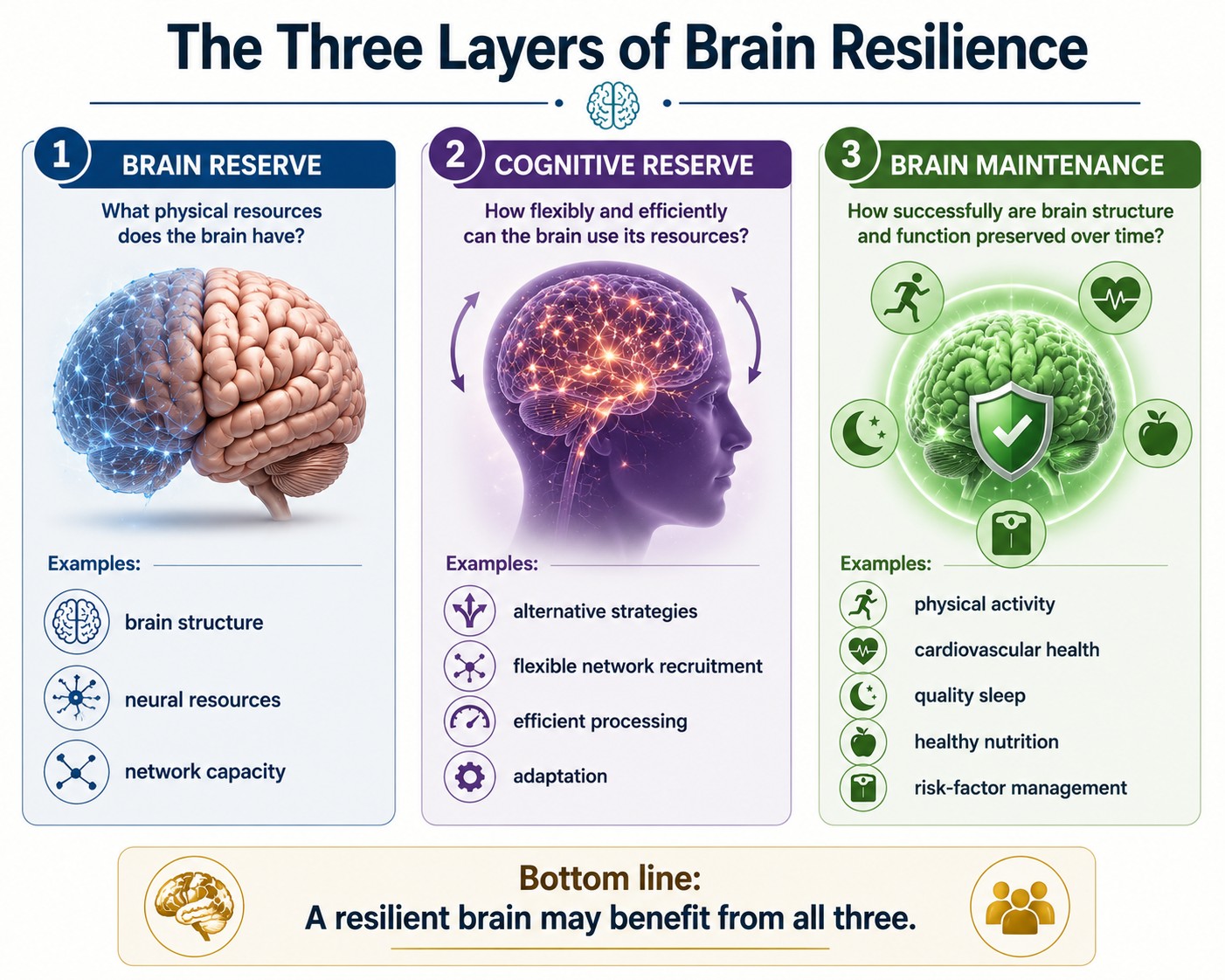 The Three Layers of Brain Resilience — Brain Reserve, Cognitive Reserve, and Brain Maintenance working together.