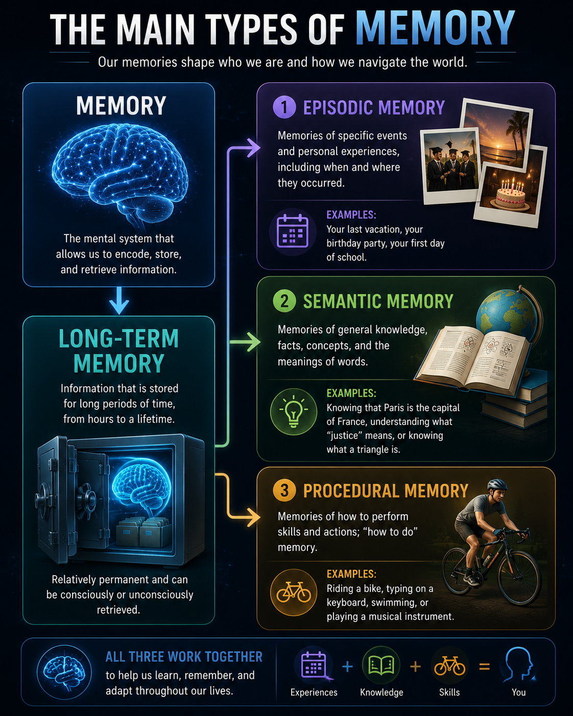 The Main Types of Memory — sensory, short-term/working and long-term (episodic, semantic, procedural).
