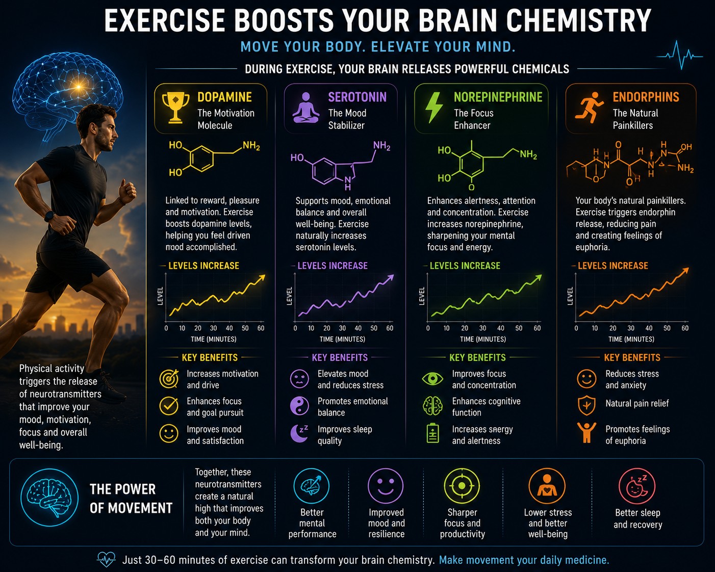 Dopamine, serotonin, norepinephrine and endorphins increasing during physical exercise — exercise boosts your brain chemistry.