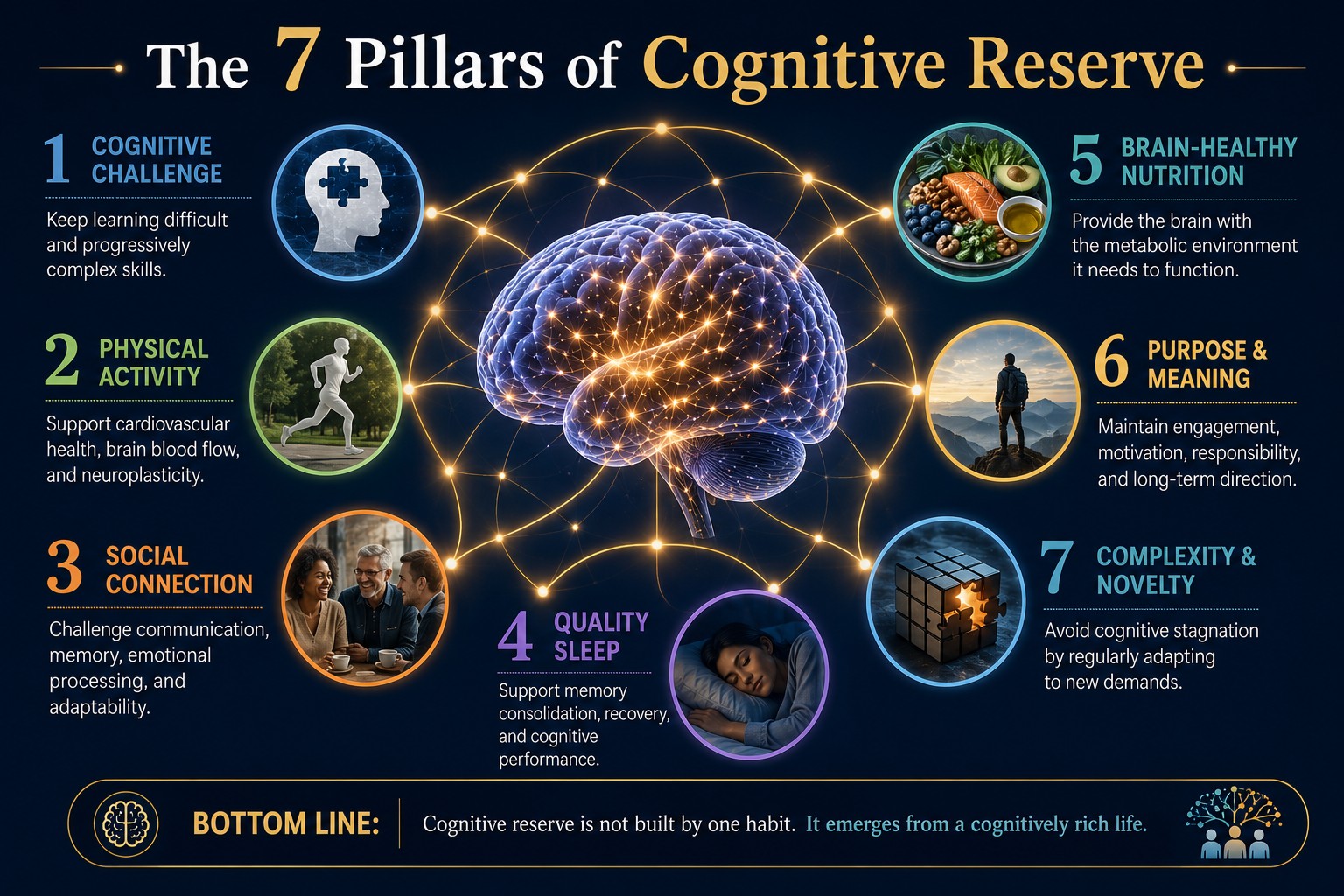 The 7 Pillars of Cognitive Reserve — cognitive challenge, physical activity, social connection, quality sleep, brain-healthy nutrition, purpose and meaning, complexity and novelty.