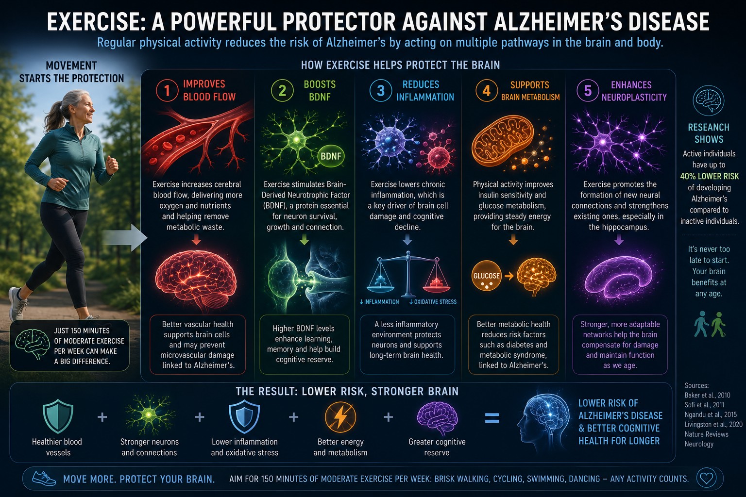 Exercise reducing Alzheimer's risk through multiple biological pathways: blood flow, BDNF, inflammation, metabolism and neuroplasticity.