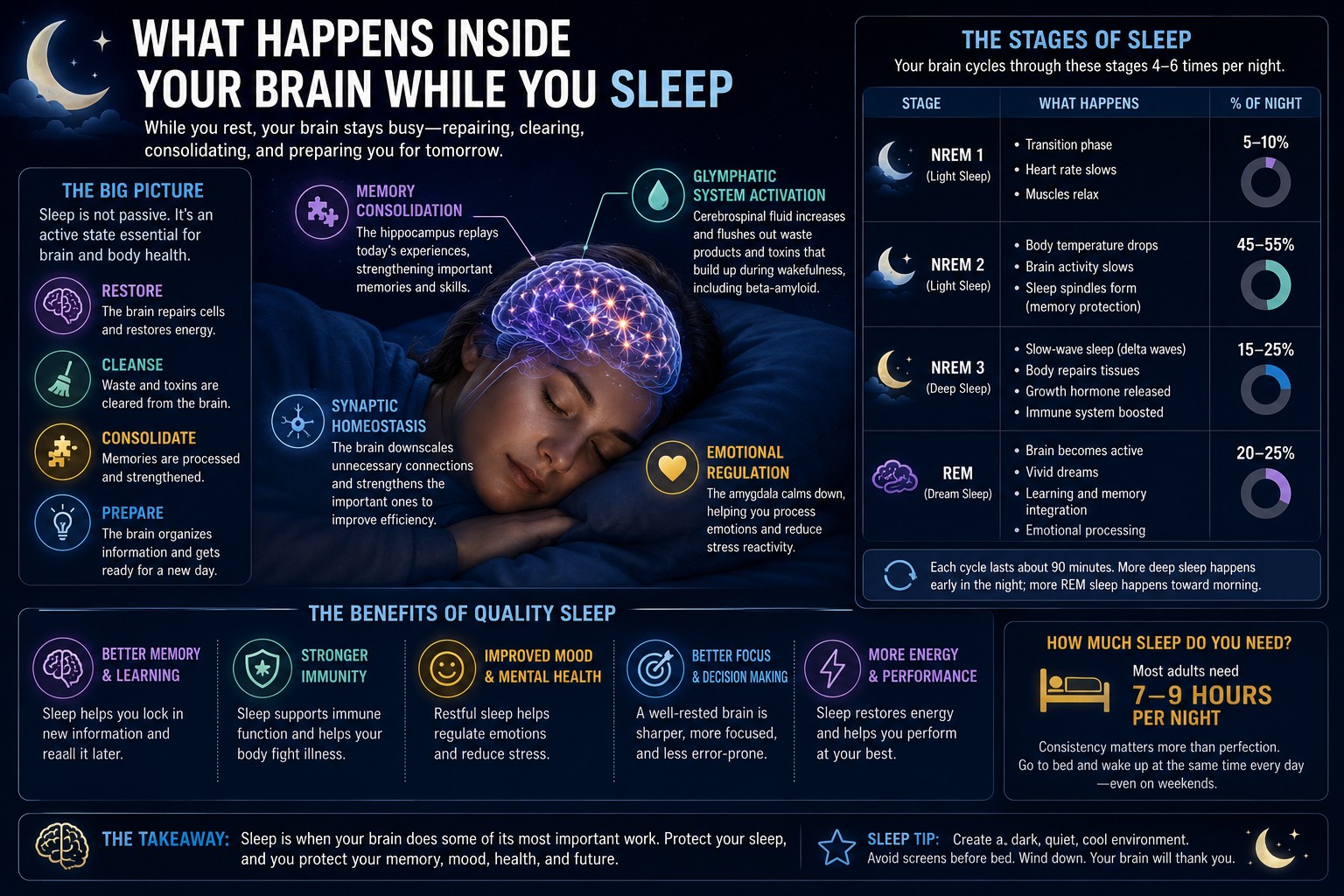 What happens inside your brain while you sleep — the stages of sleep.