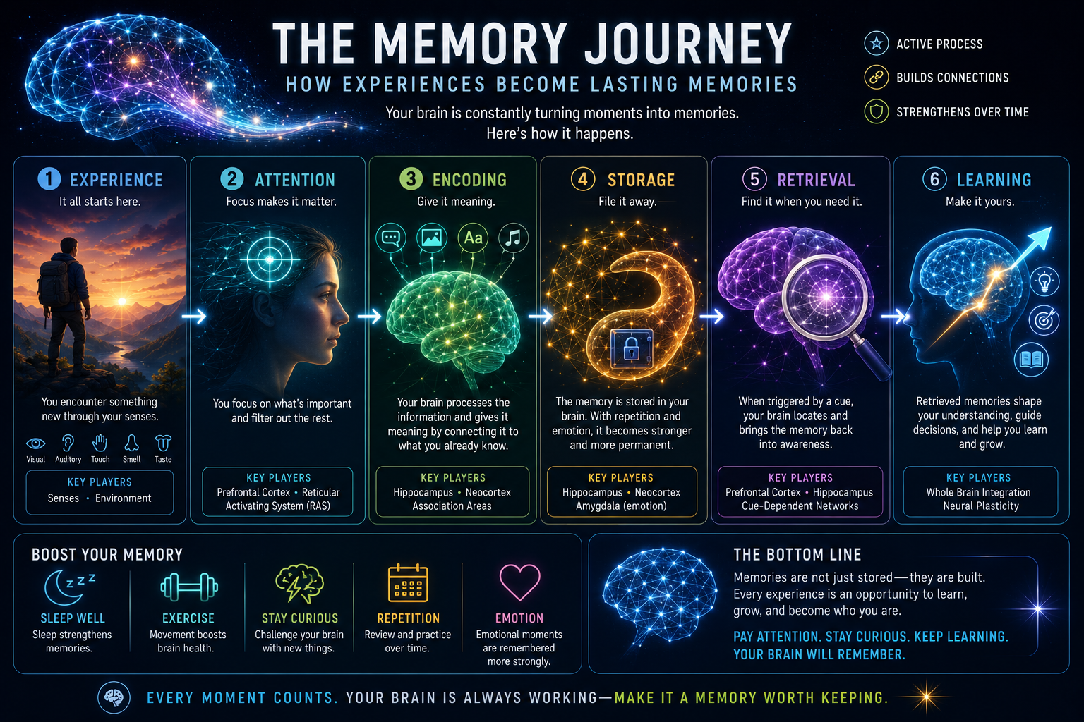 The Memory Journey — from experience and attention to encoding, storage and retrieval.